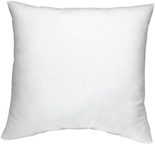 Load image into Gallery viewer, SQUARED DECORATIVE PILLOW INSERTS (2 PACK)
